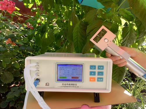 植物氣孔針有何應用？