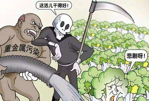 糧食安全如何得到保障？