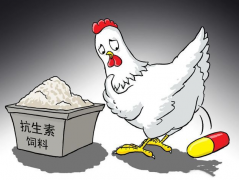 食品抗生素層出不窮，如何檢測？